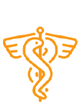 Medical transcriptions